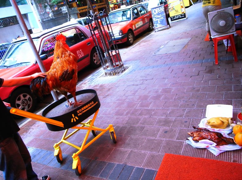 Ontdek de Geheimen van Chicken Road Casino Spelen in Nederland in Netherlands